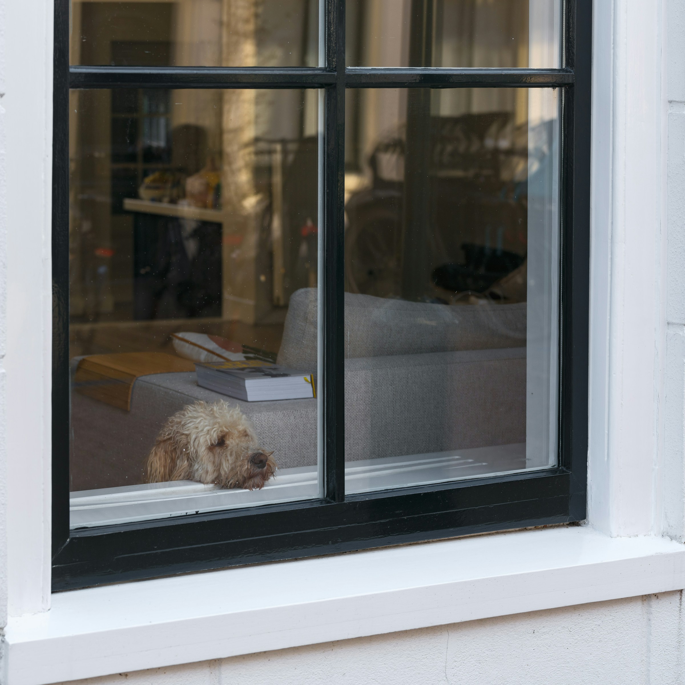 Window cleaning